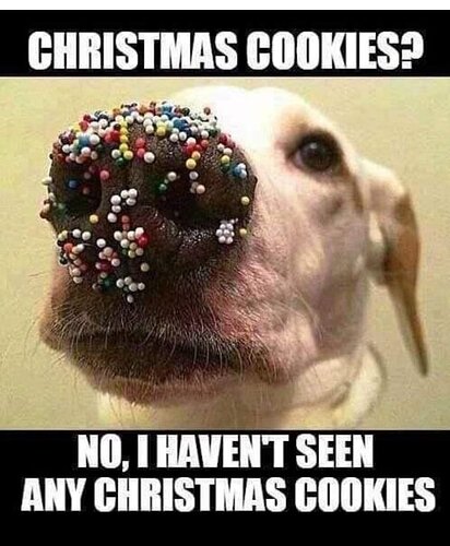 xmascookies.jpg.9e0b333fd32c8f71cd7708b7b9e85cec