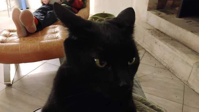 IMG-20251121-WA0003