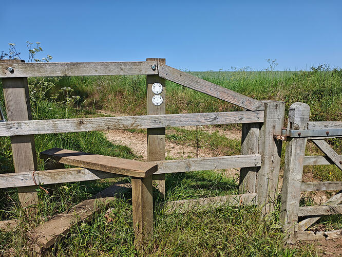 MVIMG_20260525_105216