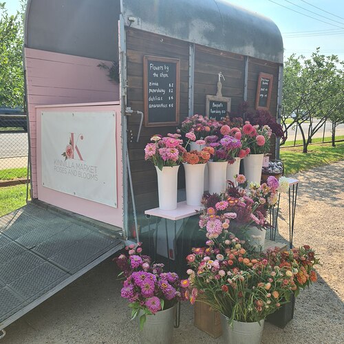 IMG_20250817_174954_259