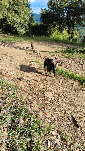IMG-20260515-WA0009