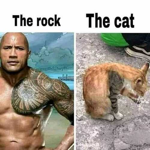 The