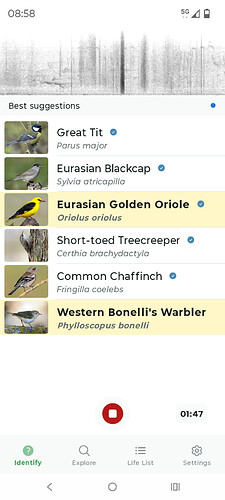 Screenshot_20260429-085856.Merlin Bird ID