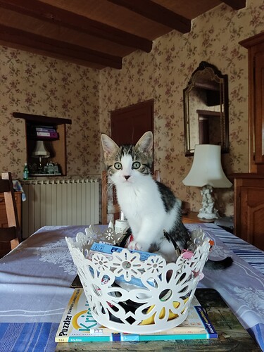 IMG_20230926_120128 - Copy