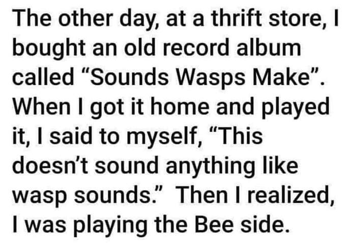 FB_IMG_1644508386455