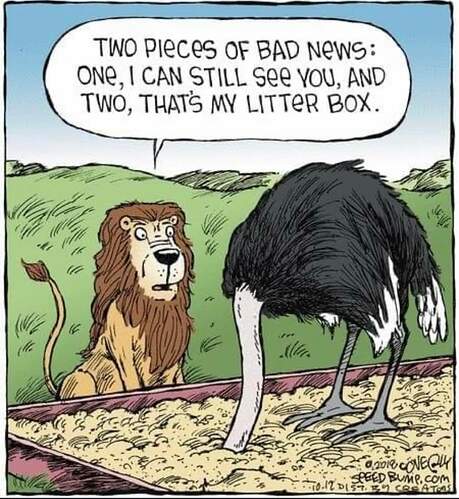 FB_IMG_1681321094189