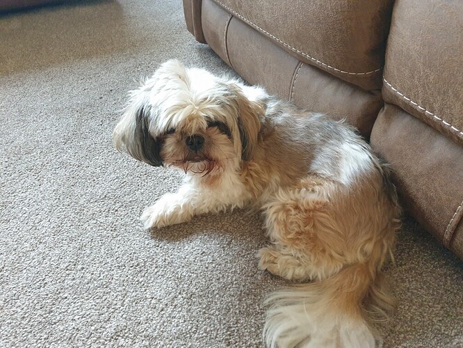 20210701_180554 (Copy)