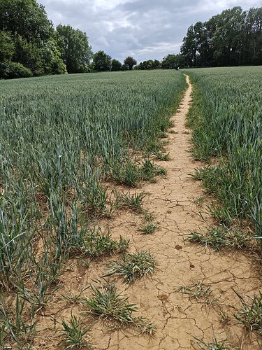 07 Path