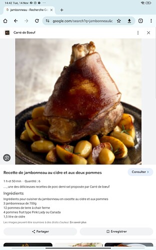 Screenshot_2023-11-14-14-42-06-840_com.android.chrome