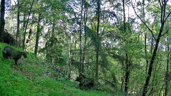 DSCF0063