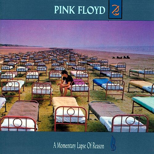 Momentary-lapse-of-reason