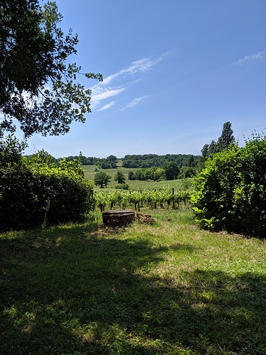 IMG_20190602_134114_1