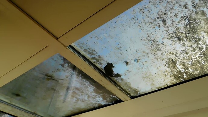 vlcsnap-2024-12-04-15h09m22s148