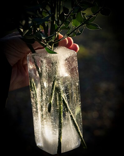 ice plant-1