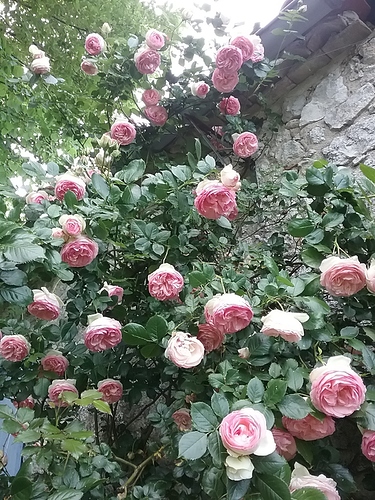 20170516_185545