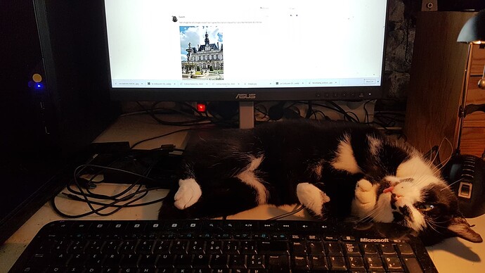 toerag wanting attention