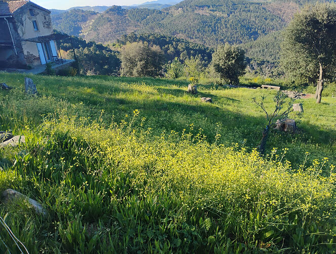 IMG_20260409_092701237