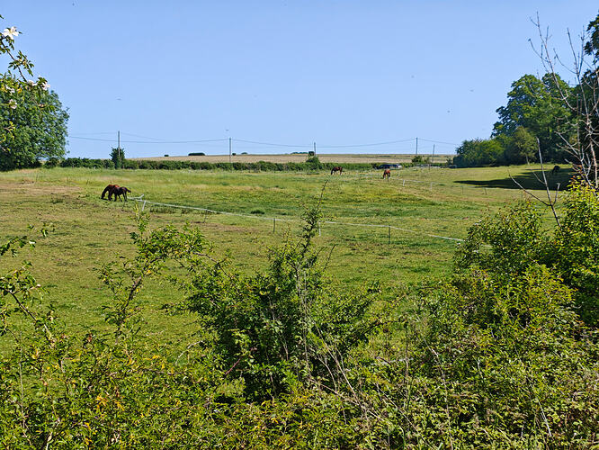 MVIMG_20260525_110843
