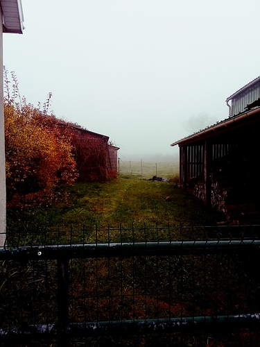 20181115_020130