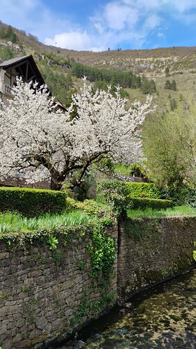 IMG-20250409-WA0002