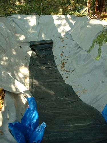 top pond 21 - liner unrolled