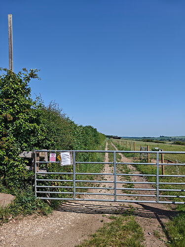 MVIMG_20260525_104025