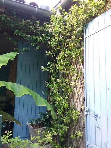 20180618_212502