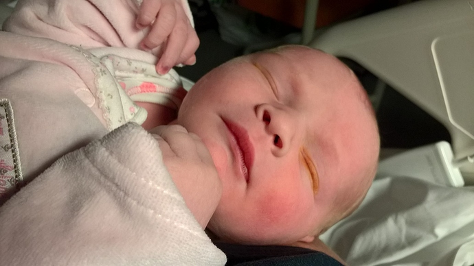 23550821_10156075575343755_7952614878406401407_o