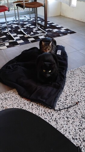IMG-20260111-WA0000