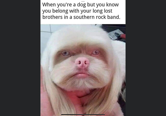 9F949A46-3BB0-4CA2-944C-F991ADC73A4A.thumb.png.a84f52920fbc7efd3a96b97a613d8e9c