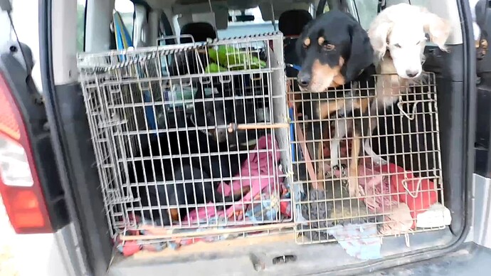 vlcsnap-2025-02-08-16h21m04s845