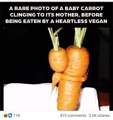 Screenshot_20250607-132958~2