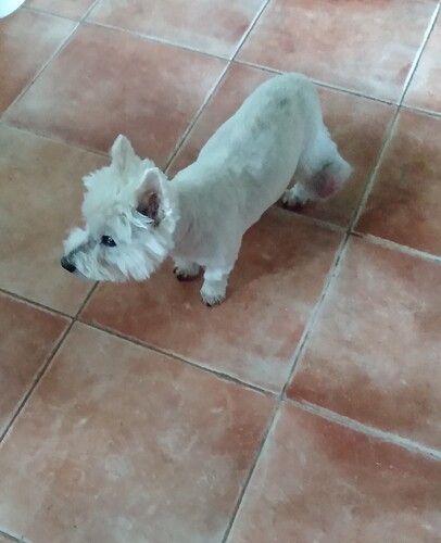 IMG_20220927_093611670~2