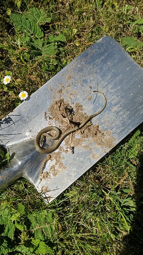 IMG-20220508-WA0000_1