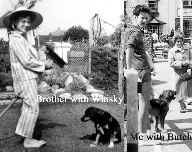 Brother and I with Whisky and Butch 1960s