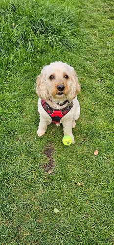 IMG-20260603-WA0005