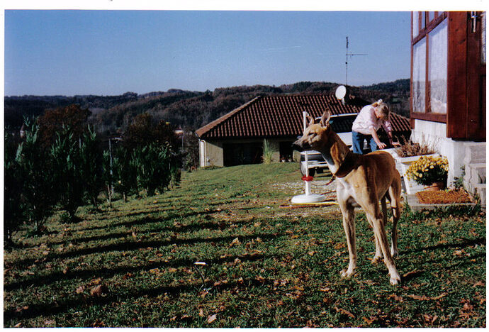 ud. Lira, Fran, and the valley. St. Front Nov.1999