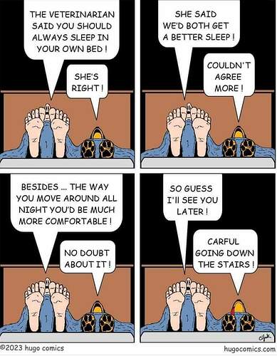 FB_IMG_1690827422865