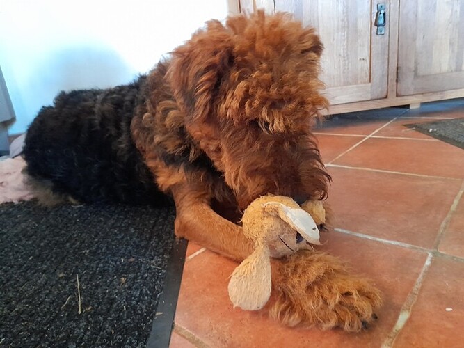 20250816_164434small