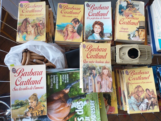 IMG_20251219_144735100