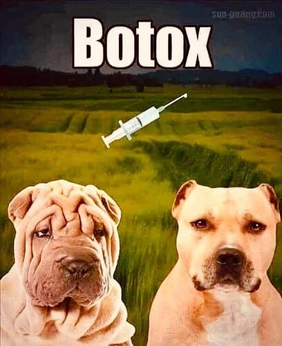 938697471_veterinarybotox.thumb.jpg.ec6a760192b93d877862817af608b7a3