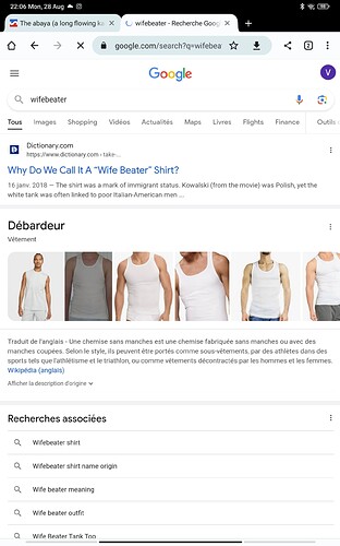 Screenshot_2023-08-28-22-06-06-665_com.android.chrome