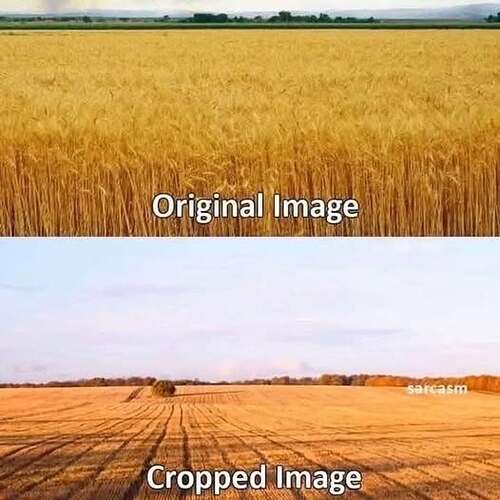 1145258392