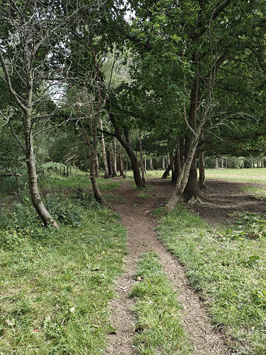 23 Path