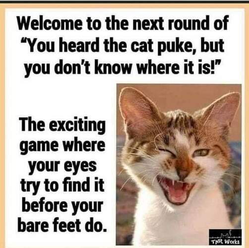 FB_IMG_1682891200641