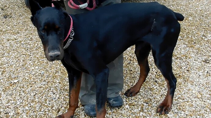 vlcsnap-2025-02-08-16h20m16s538