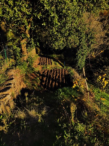 IMG_20251117_161921998_HDR