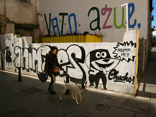 Dog walker. VLC. SP. NR20