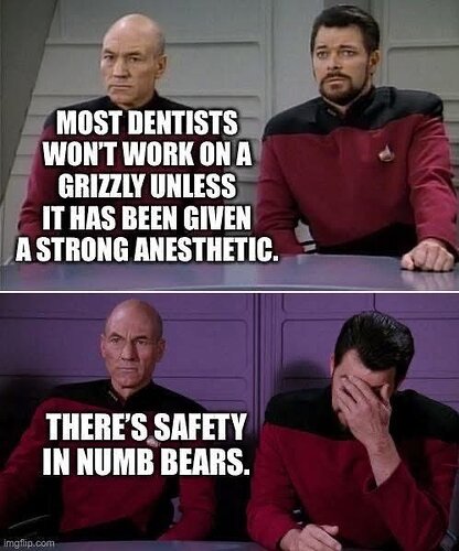 numbbears.jpg.931080618339009ac2ce0901b48ffdb2