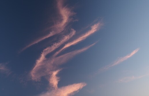 God's Zen Calligraphy